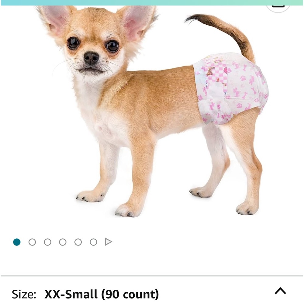 Dog diapers.XXS 45